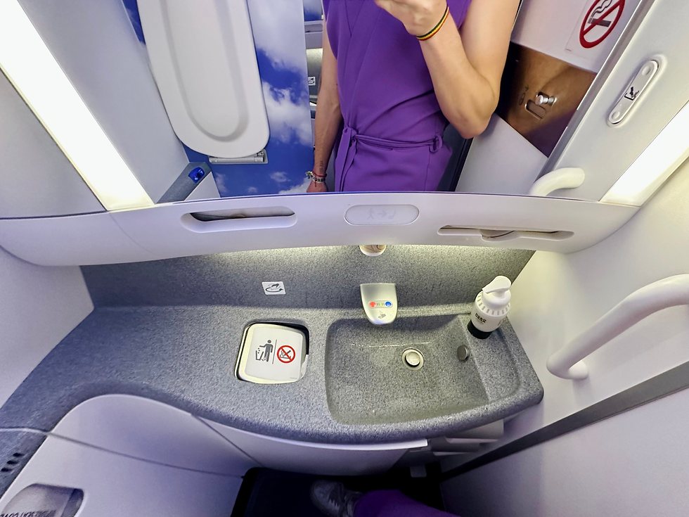 American Airlines 78P Lavatories