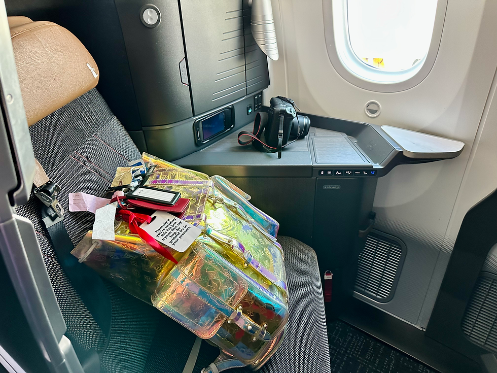 American Airlines 78P Flagship Suites Preferred Seat
