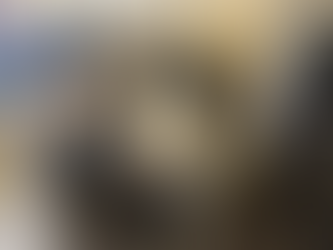 2/2 On American Airlines SystemWide Upgrades