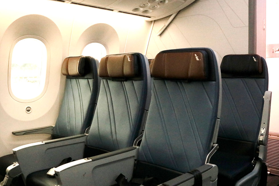 American Airlines 78P Economy Mini-Cabin Seats
