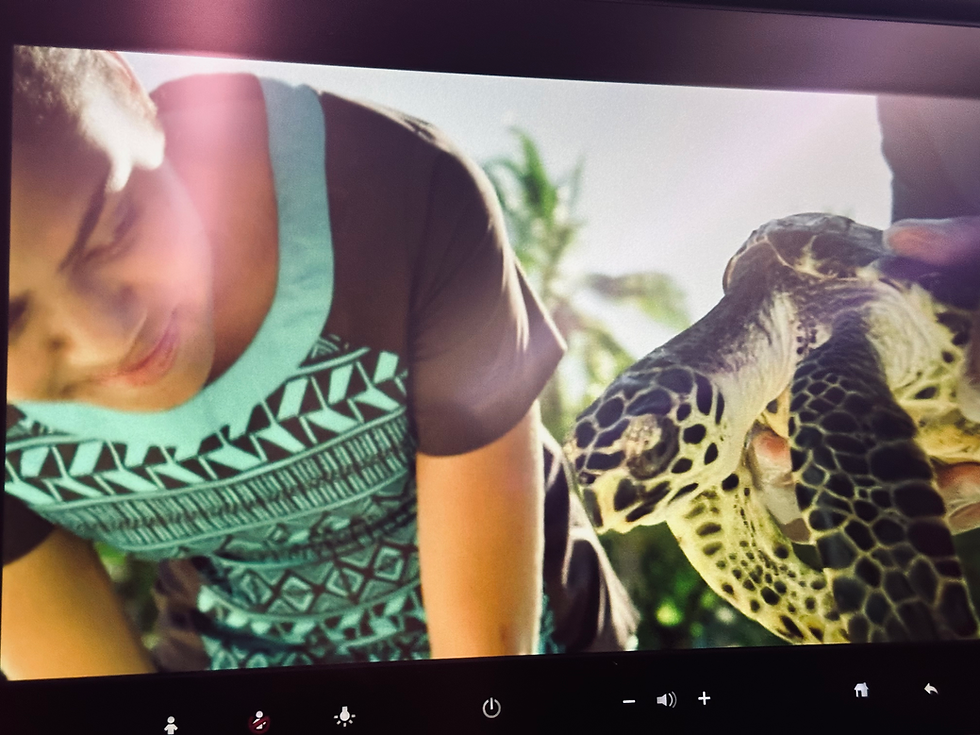 I forgot that turtles, well, live in the ocean. Thanks for reminding me Fiji Airways!