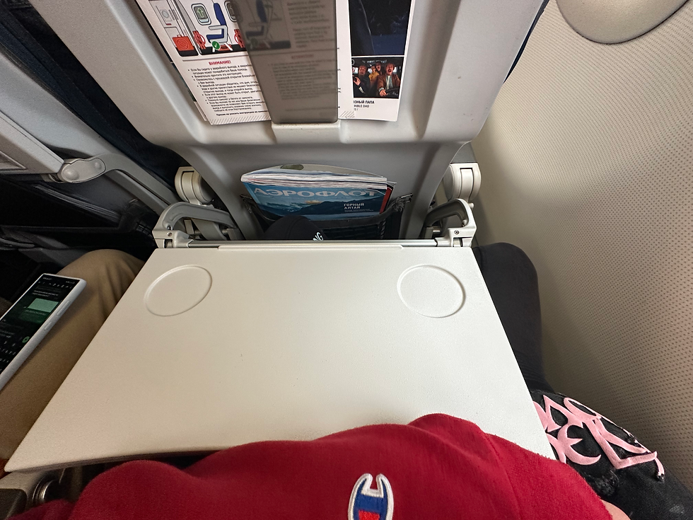 Aeroflot A321 Economy Seat