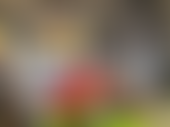 Bar Scene In Siem Reap