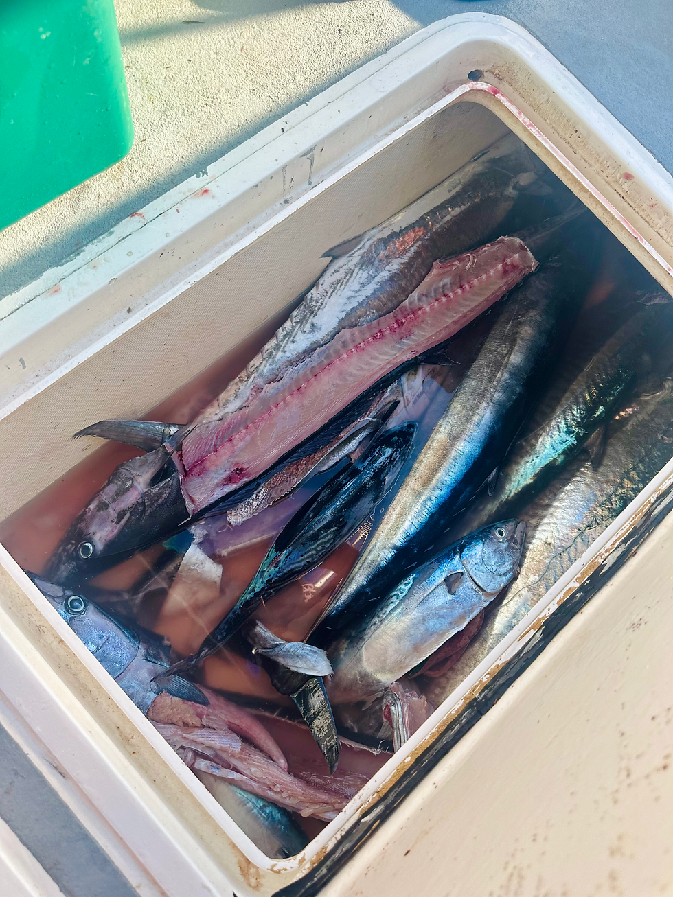 A decent haul for the day