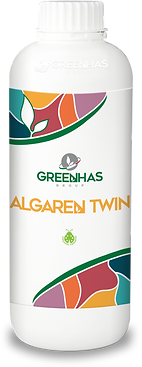 algaren-twin-1l.png