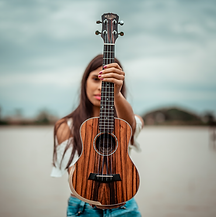 Captura_de_Tela_2020-08-24_Ã s_15.16.51.