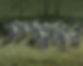 banner-noticias.jpg