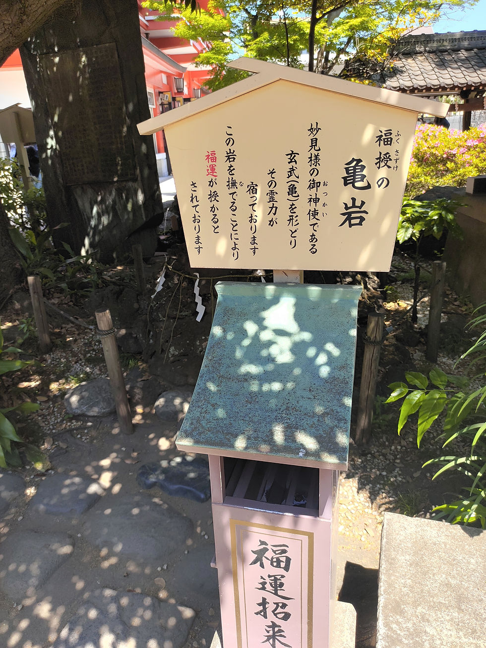 亀岩