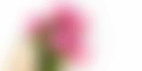 千葉市福祉タクシーこころ音