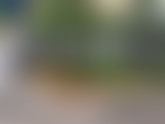 Lluvia en Torreón: ¡Aprovechémosla!