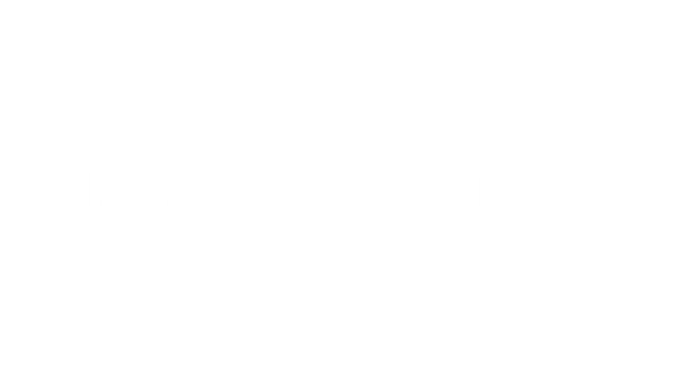 LOGO REVO MARKET_Mesa de trabajo 1.png
