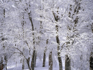 Top 10 Tips for Healthy Winter Skin