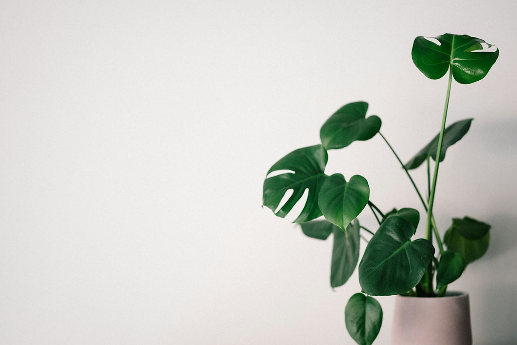 Therapy Practice in Greensboro, NC