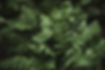 robert-nelson-9H3WouBtk0U-unsplash Sam Silvaine.jpg