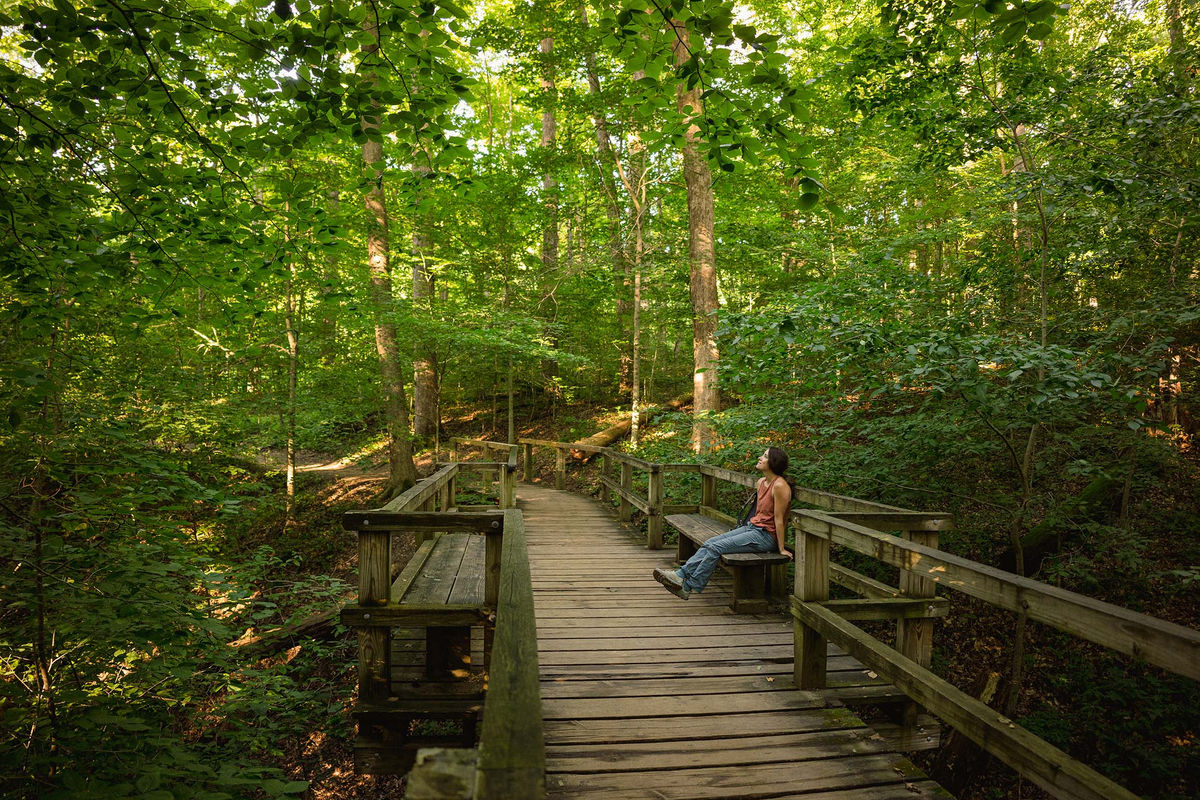 Hemlock Counseling Services