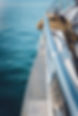 markus-spiske-MrDfuenOS9s-unsplash.jpeg