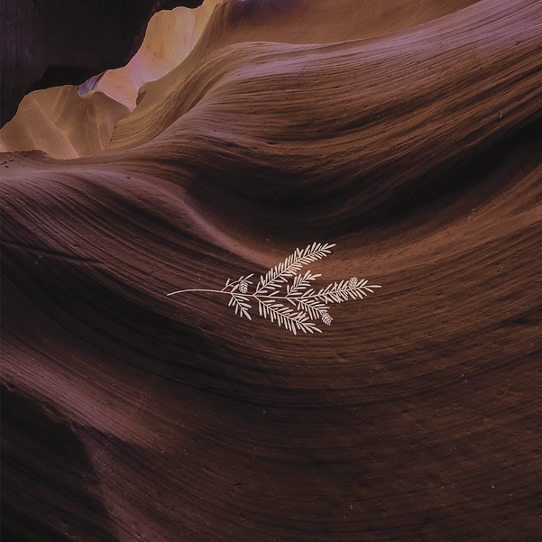 HemlockDeepDive-03.png