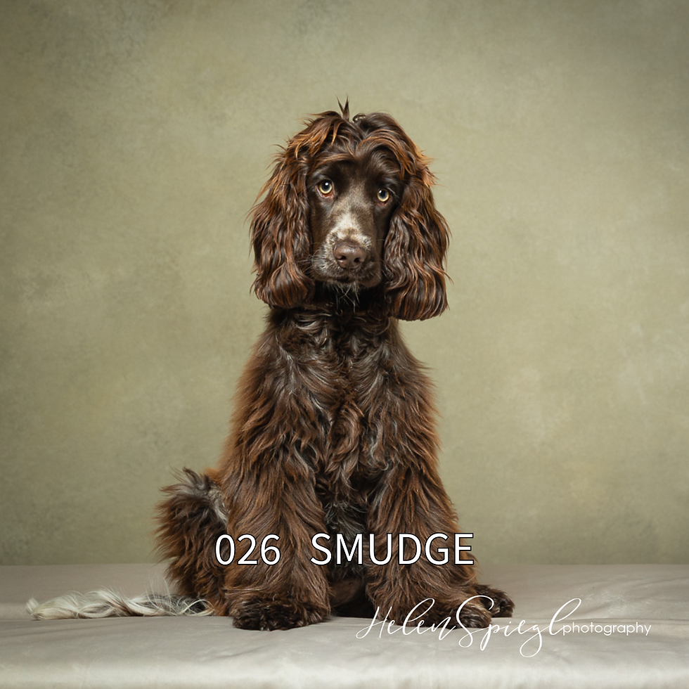 Smudge