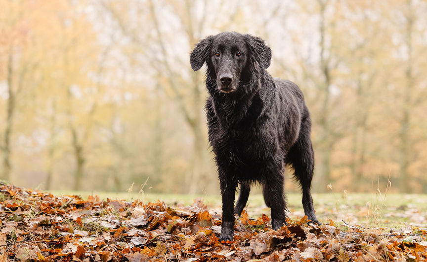 SKYE LR NOLOGO (4 of 5)