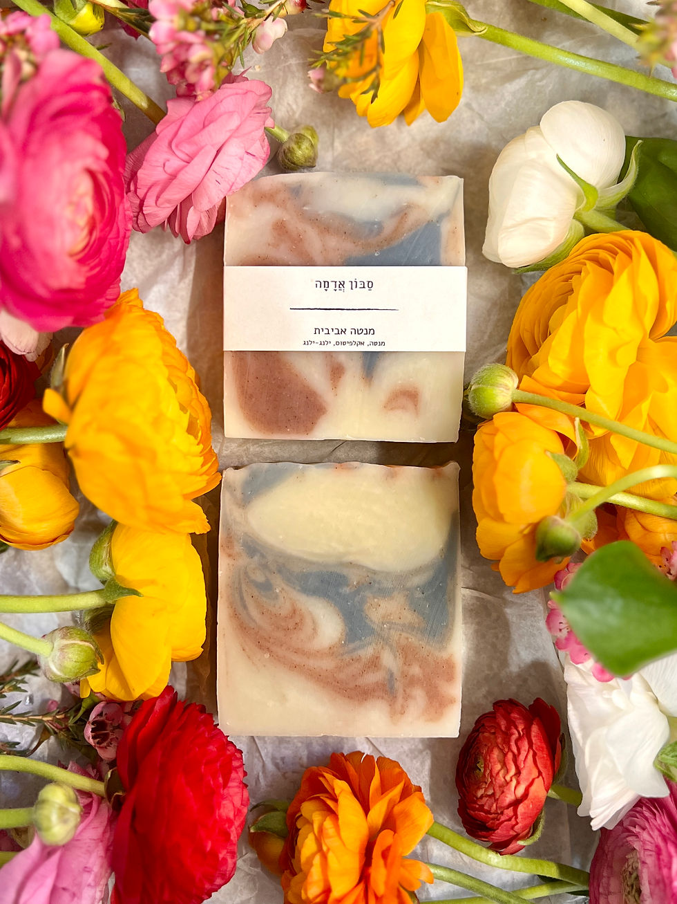 Thumbnail: מנטה אביבית