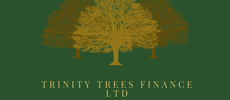 3 golden trees with green background