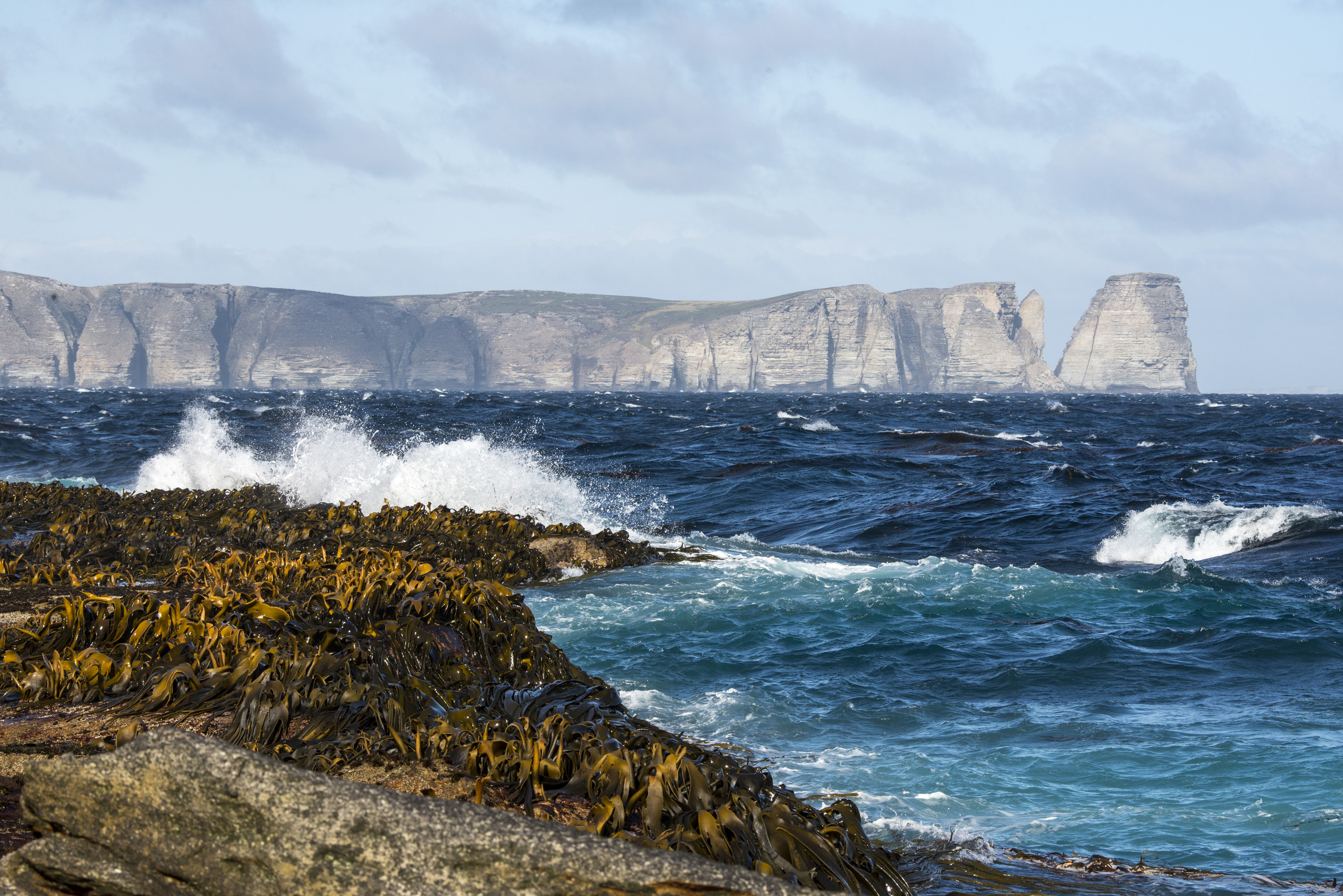 Falkland Islands Justin Hofman