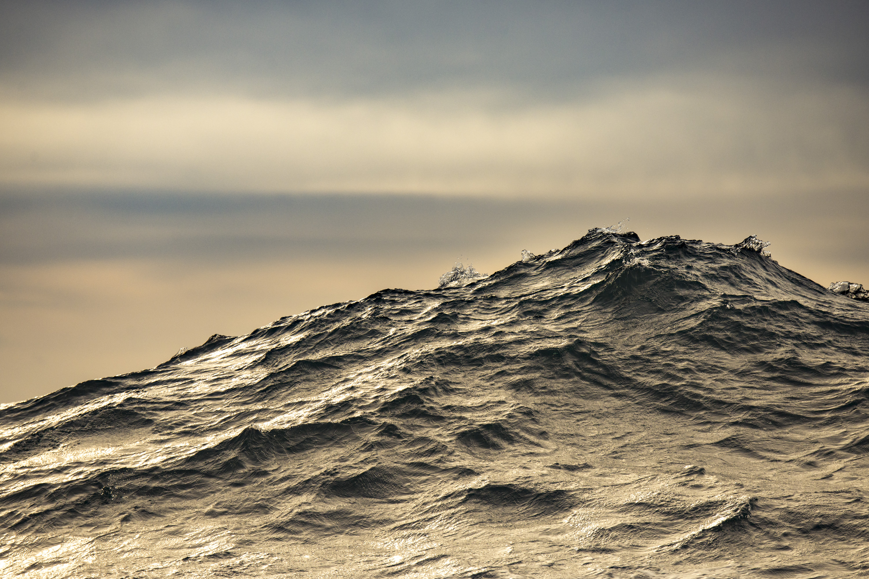 Hofman_Falklands031