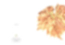 Thumbnail: Fallen Leaves Set - Greeting Cards