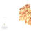 Thumbnail: Fallen Leaves Set - Greeting Cards