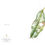 Thumbnail: Fallen Leaves Set - Greeting Cards