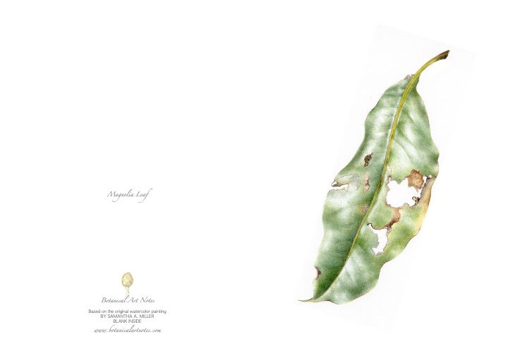 Fallen Leaves Set - Greeting Cards