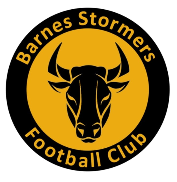 Writer: Barnes Stormers