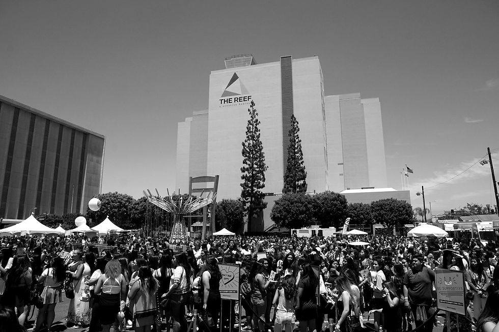 Header image 1_edited