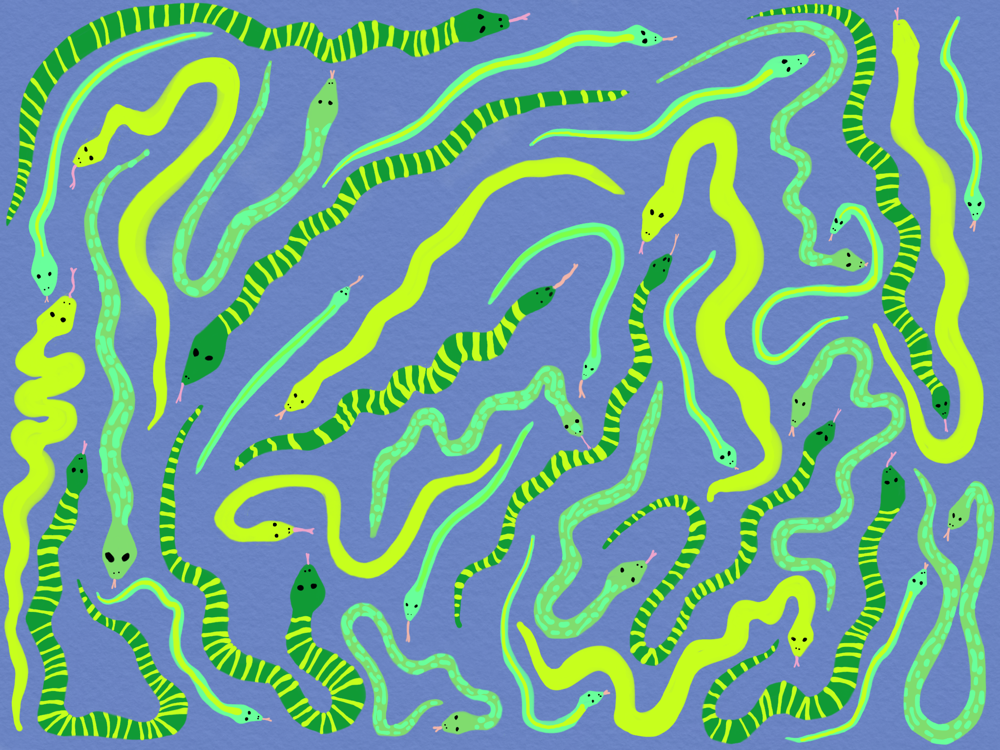 Snakes!