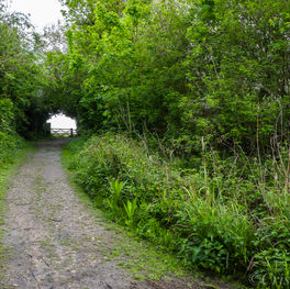 Berengrave Nature Reserve