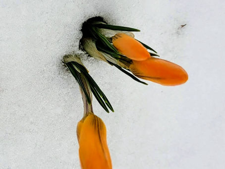 HAUNTS, HOPES & HAPPY EASTER