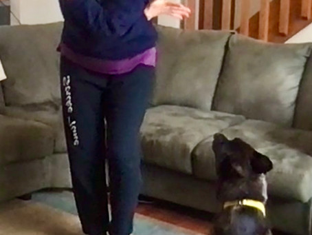 EveryDay Dances