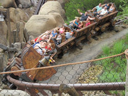 Disney Magic Kingdom