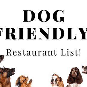 Dog Friendly Restaurants Near Me in Brevard County including Melbourne and Cocoa Beach! 