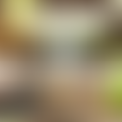 Best Margaritas Near Me: Brevard County, The Space Coast & Vero Beach [2023]