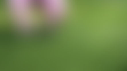 Você é Perfeccionista?