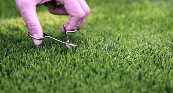 Você é Perfeccionista?