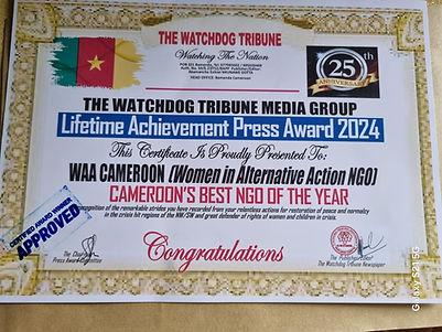 WAA Award.jpg
