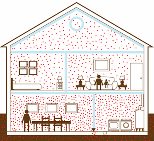 Picture_Radon Home.png