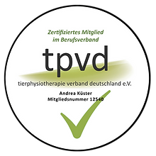 Zertififierung Berufsverband