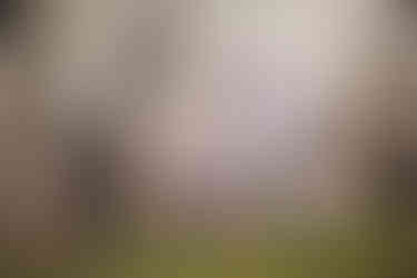 Családi fotózás Budapesten cseresznyefa virágzás