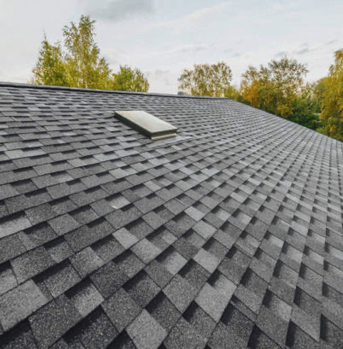 roof_edited_edited.jpg