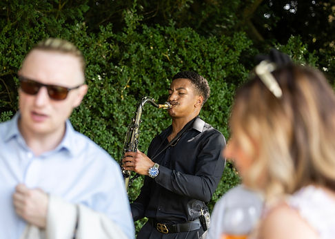 Cocktail hour under the tree.jpg