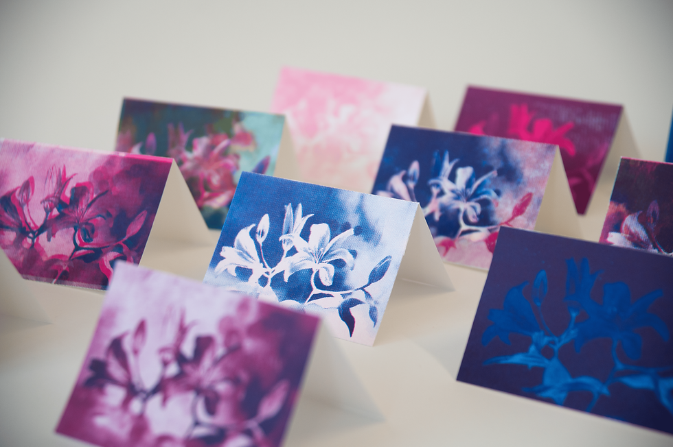 lily card 3_10.PNG