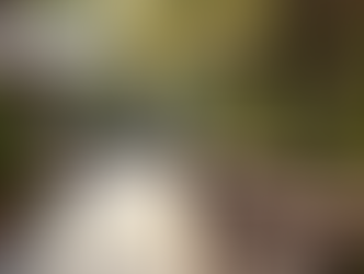 Exciting Events and Terrace 43 Activities to Enjoy in Bristol